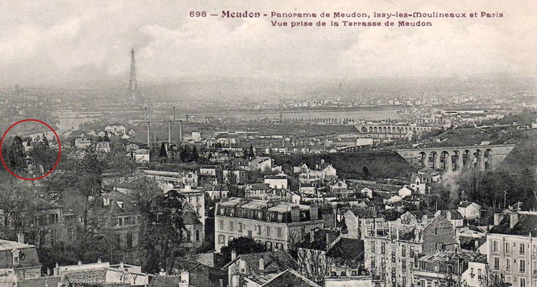 Cèdre de Meudon en 1910